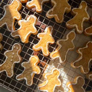 sugar-free gingerbread cookies