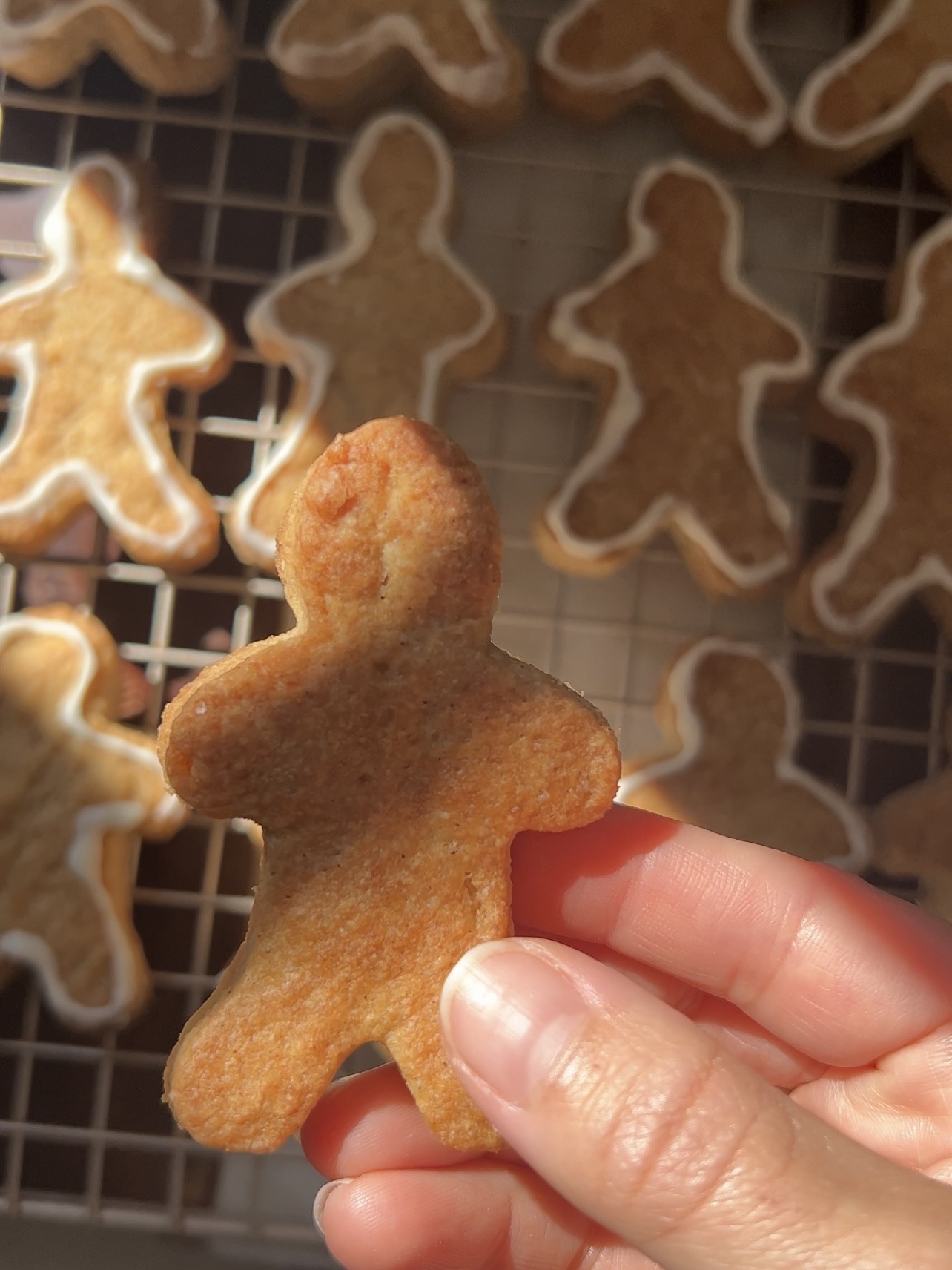 sugar-free gingerbread cookie (close up)