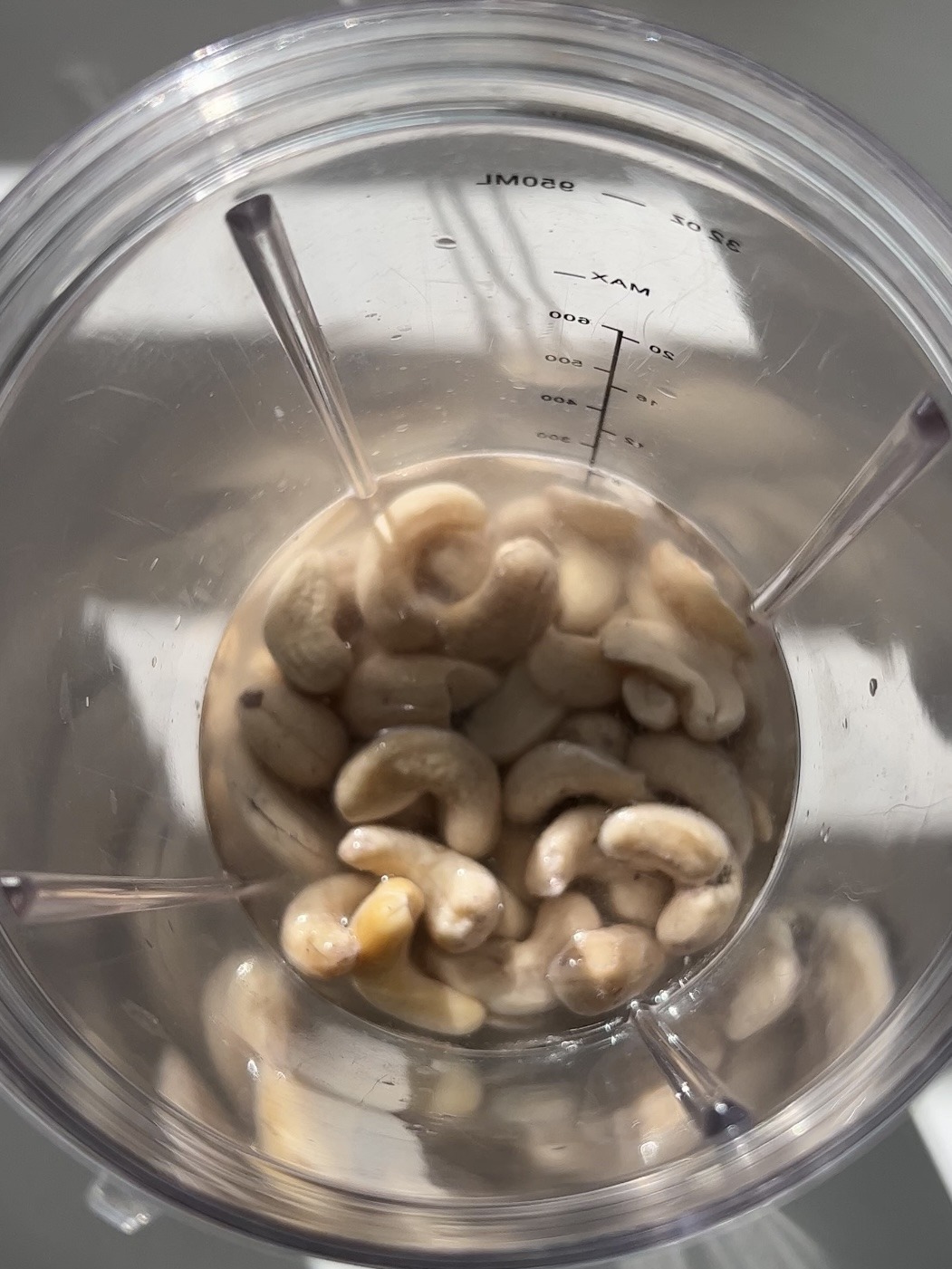 Cashews and water in a blender. 