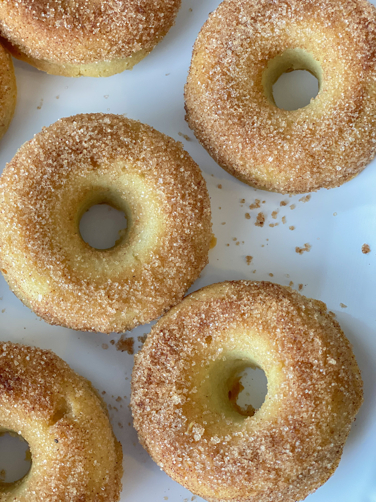 close up shot of cinnamon sugar donuts lined up on a white plate. 