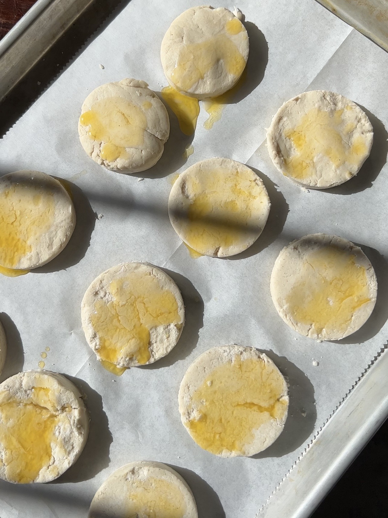 cut gluten-free biscuit dough rounds on a baking sheet spread with butter