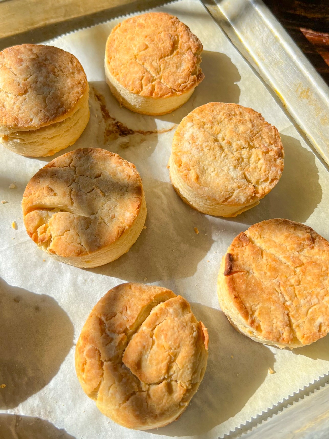 freshly baked gluten-free biscuits on a baking sheet