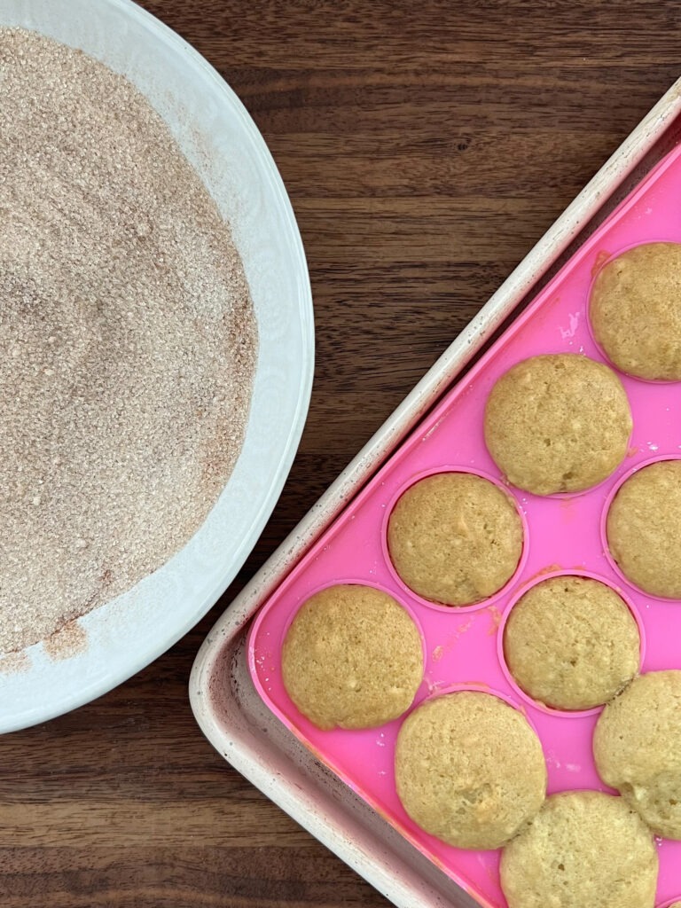 donut holes after being baked sitting next to a bowl of cinnamon sugar. 