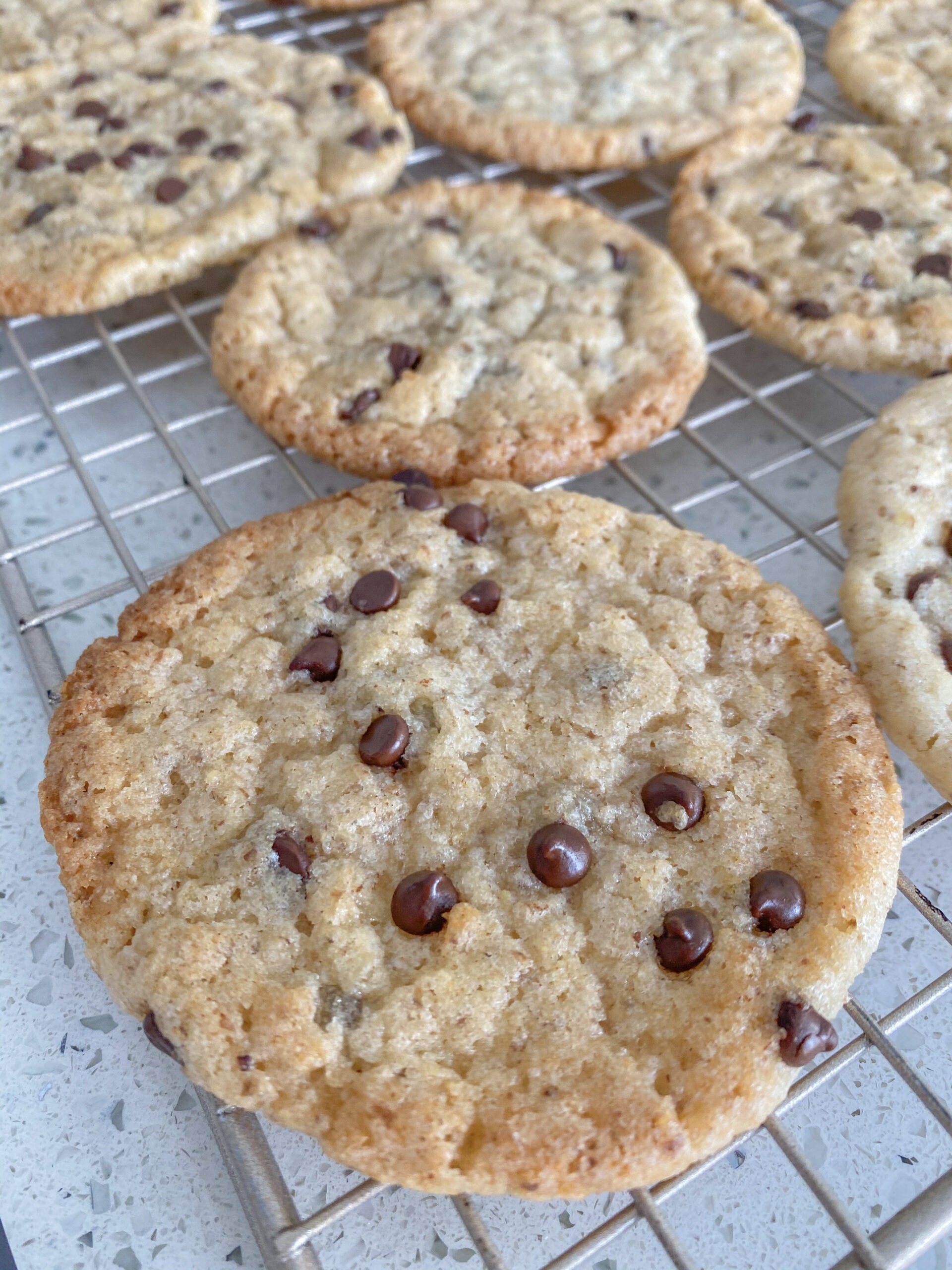 chocolate chip cookies close up