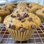 One Bowl Pumpkin Chocolate Chip Muffins